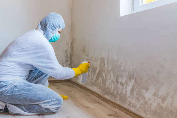Commercial Mold Remediation assessment for commercial property in Lakeside